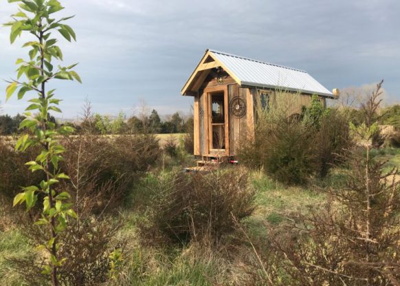 Tiny House Envy Viking