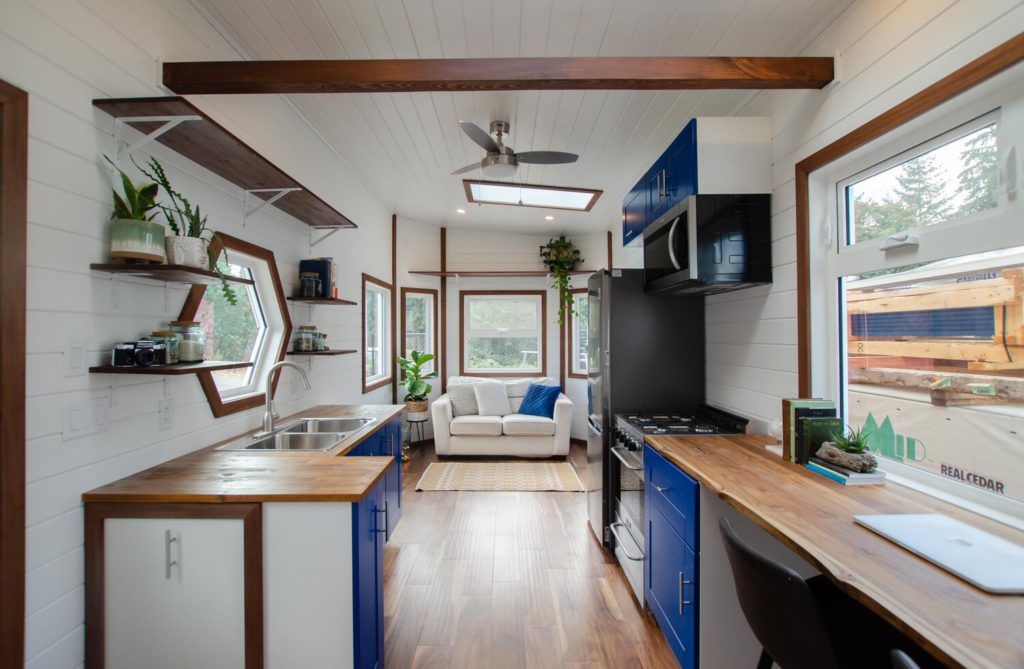 northern flicker interior view